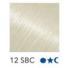 Platinum 20-22in. Extensions #12SBC-Straight 10pcs